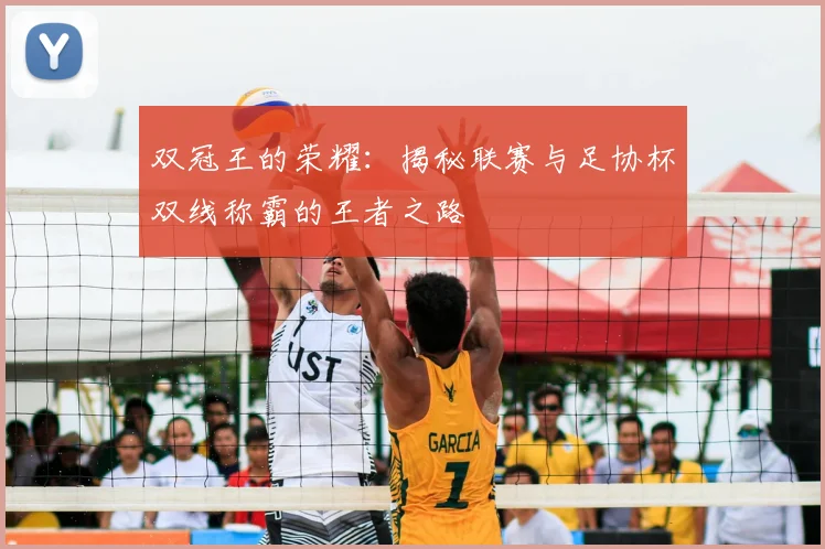 双冠王的荣耀:揭秘联赛与足协杯双线称霸的王者之路